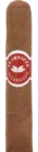 La Invicta Nicaraguan Petit Corona Cigar - Single