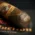 Gurkha Seduction Robusto Cigars - Pack of 4