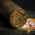 Gurkha Seduction Robusto Cigars - Pack of 4
