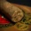 Arturo Fuente Don Carlos Robusto Cigar - Single
