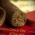 Brick House The Traveler Classic Nicaragua Toro Tubos Cigar - Single