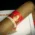 Conquistador Robusto Cigar - Single