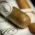 Davidoff Signature 2000 Cigar - Single