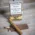Quorum Tres Petit Corona Shade Cigar - Single