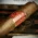 Juliany Corojo Corona Cigar - Single