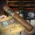Juliany Maduro Robusto Cigars - Bundle of 10