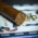 Don Pepin Garcia Blue Label Demi Tasse Cigar - Single