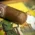 Aladino Corojo Reserva No. 4 Cigars - Box of 20