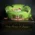 Arturo Fuente Hands of Time Ashtray - Geen + Short Story Cigar