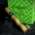 Asylum 13 Ogre Nicaragua Toro Gordo Cigars - Box of 25