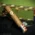 Brick House Double Connecticut Nicaragua Robusto Cigars - Box of 25