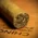 Chinchalero Esportivo Cigars - Box of 25