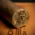 Chinchalero Picadillos Maduro Fuerte Cigars - Box of 24