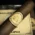 Conquistador Petit Corona Maduro Cigars - Bundle of 25