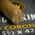 Smoke-King New World Nicaraguan Corona Cigars - Pack of 10