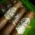 gurkha-boutique-cigars-6-pack-sampler-b Gurkha Selection Boutique Toro Cigars - Green Pack of 6