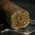 Plasencia Alma Fuerte Box Pressed Robusto Cigars - Box of 10