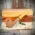 Savinelli Ghibli Rusticated Natural 207 - 6mm Briar Pipe