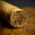 Perdomo 10th Anniversary Connecticut Super Toro Cigars - Box of 25