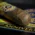 perdomo-reserve-10th-anniversary-maduro-super-toro-cigars-d Perdomo 10th Anniversary Maduro Super Toro Cigars - Box of 25