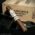 CigarKings Maduro Coronita ft Cigars - Box of 24