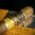 Regius Connecticut Robusto Cigars - Box of 25