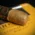 Regius Connecticut Robusto Cigars - Box of 25