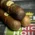 Brick House Robusto Cigar Sample Pack