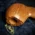 Savinelli Autograph (Limited Edition) 000 Smooth Natural Briar Pipe - 01