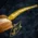 Savinelli Autograph (Limited Edition) 000 Smooth Natural Briar Pipe - 01