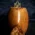 Savinelli Autograph (Limited Edition) 000 Smooth Natural Briar Pipe - 01