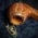 Savinelli Autograph (Limited Edition) 8 Smooth Natural Briar Pipe - 01