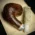 Savinelli Sasso Rusticated 601 - 6mm Briar Pipe