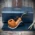 Savinelli Collection 2021 Natural P110CL (Limited Edition) - 6mm Briar Pipe