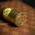 Trinidad Cabildos (2024 UK Exclusive) - Limited Edition Box of 5 Cigars