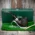 Peterson of Dublin Donegal Rocky Briar Smoking Pipe - Shape No.X220