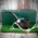 Peterson of Dublin Donegal Rocky Briar Smoking Pipe - Shape No.05