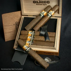 vzfasqwkodr Foundation Cigars Olmec Claro Nicaraguan Robusto Cigars - Box of 12