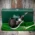 Peterson of Dublin Donegal Rocky Briar Smoking Pipe - Shape No.X220
