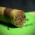 Asylum 13 Ogre Nicaragua Toro Gordo Cigars - Box of 25