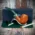 Savinelli Foresta Smooth Natural 616 - 6mm Briar Pipe