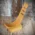 Jean Claude Maple Wood Pipe Stand- 1 pipe