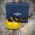 Savinelli Goccia Ceramic Pipe Stand Yellow