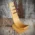 Jean Claude Maple Wood Pipe Stand- 1 pipe