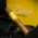 Zino Nicaragua Half Corona Cigars - Box of 25