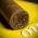 Zino Nicaragua Half Corona Cigars - Box of 25