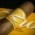 Zino Nicaragua Robusto Cigar - Single