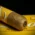 Zino Nicaragua Half Corona Cigars - Tin of 5