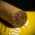Zino Nicaragua Half Corona Cigars - Tin of 5