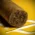 Zino Nicaragua Toro Cigars - Pack of 5